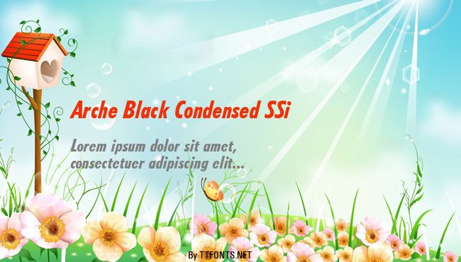 Arche Black Condensed SSi example